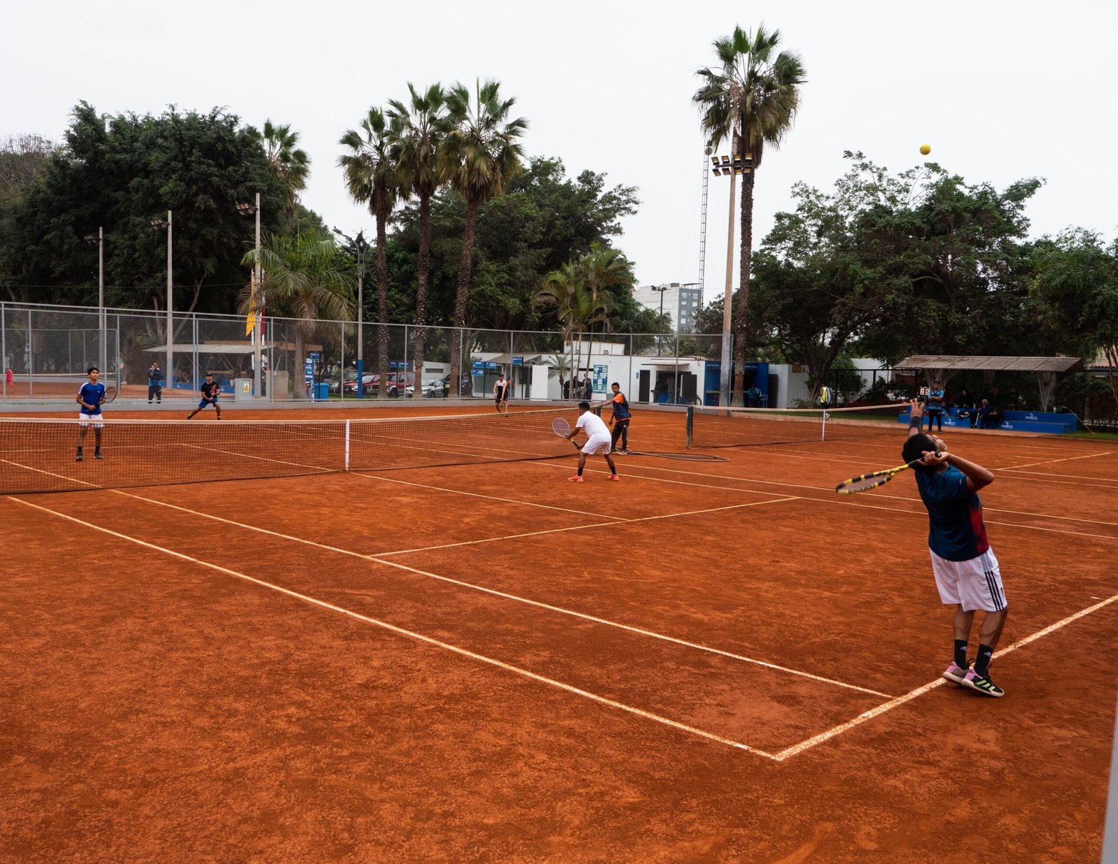 Tenis - Canchas
